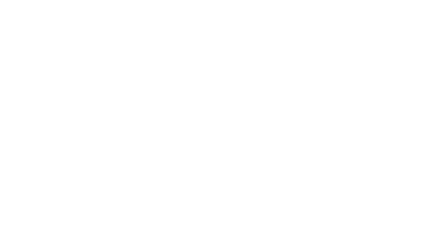 DealerLeads logo (dark theme)